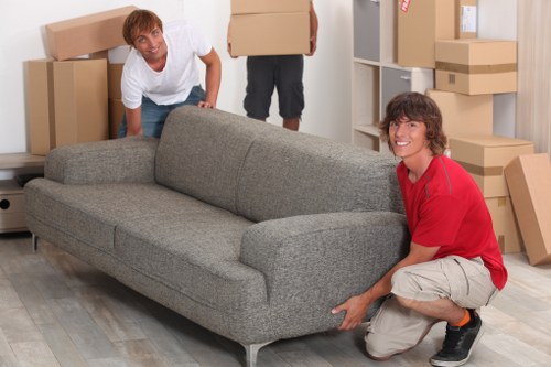 Careful loading of boxes and household items into a removal van